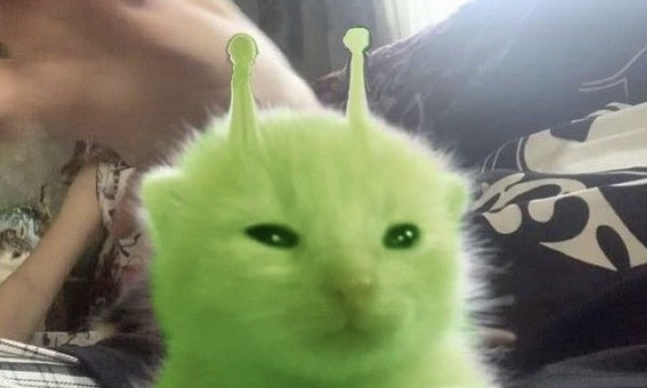 alien cat picture